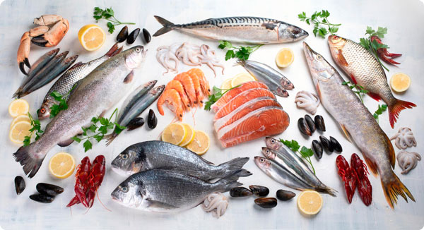 Manipulador Alimentos Pescados y Derivados
